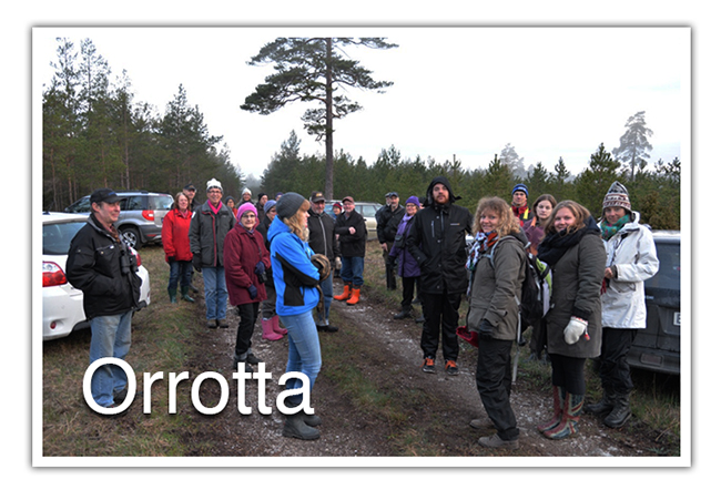 orrotta_banner_2017