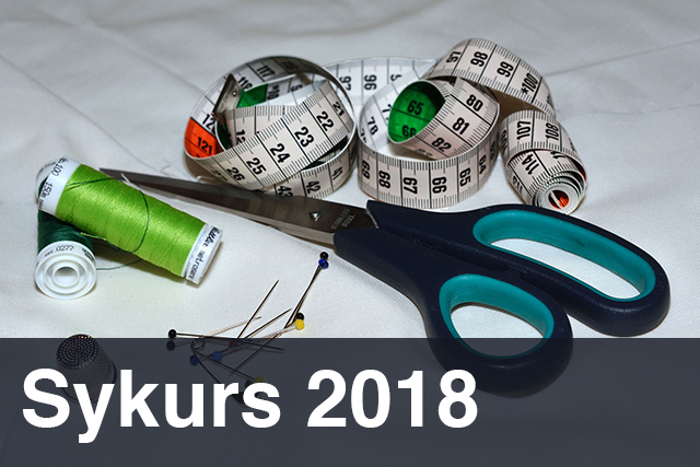 sykurs_2018